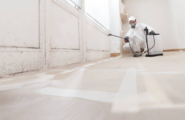 24/7 Emergency Attic Mold Remediation experts in Fulton, IL